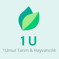 1-Umut Ltd.